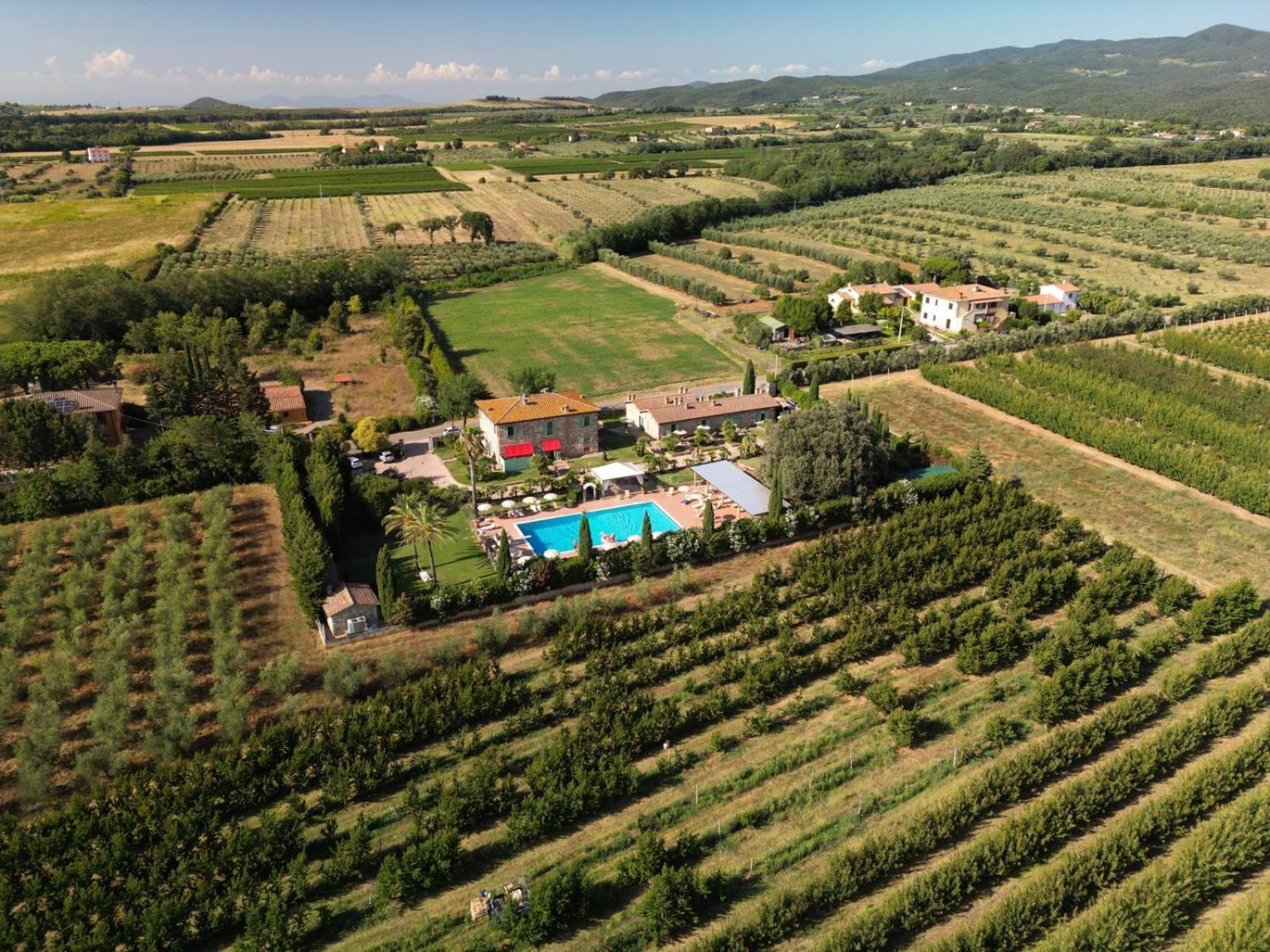 Podere Gli Olmi Cecina  Ngoại thất bức ảnh